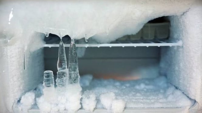 Ilustrasi bunga es di kulkas, 1. Membuka Pintu Freezer Terlalu Sering atau Terlalu Lama, 2. Menyimpan Makanan Panas di Freezer, 3. Karet Penutup Pintu Freezer Rusak atau Kotor, 4. Menyimpan Makanan Tanpa Penutup yang Tepat, 5. Tidak Melakukan Defrost Secara Rutin