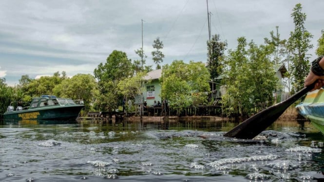 Sungai di Kalimantan, Asal-Usul Legenda Pesut Mahakam, Makna Spiritual dan Budaya, Fakta Biologis Pesut Mahakam, Pesona Wisata Sungai Mahakam, Tips Berwisata di Sungai Mahakam