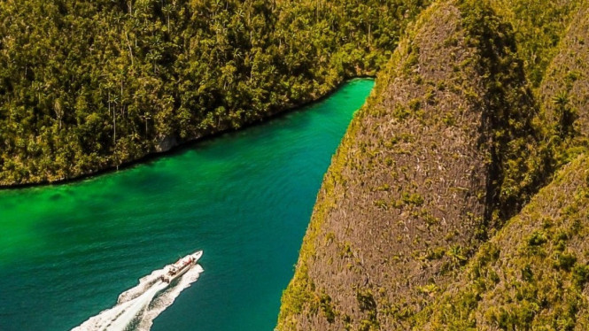 Raja Ampat, Sekilas tentang Raja Ampat dan Perang Dunia II, Kisah Tragis Bangkai Kapal Perang di Raja Ampat, Signifikansi Bangkai Kapal bagi Wisata Sejarah, Aktivitas Wisata Terkait Bangkai Kapal, Ancaman terhadap Bangkai Kapal dan Ekosistem Laut, Tips Berwisata ke Raja Ampat untuk Menjelajahi Bangkai Kapal