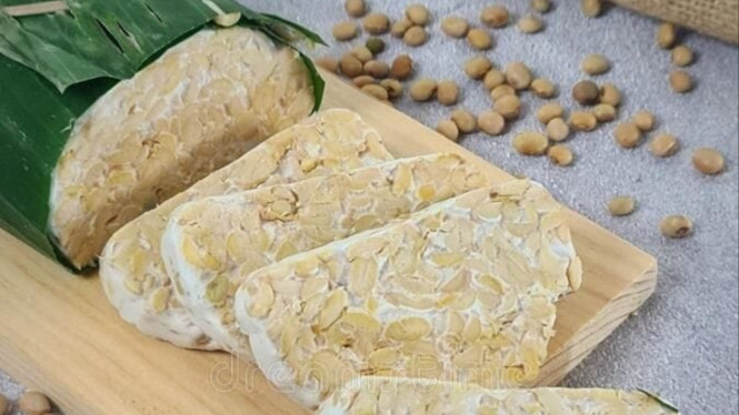 Ilustrasi tempe, 1. Jangan Langsung Dimasak dari Beku, 2. Keringkan Tempe Sebelum Dimasak, 3. Potong Sesuai Jenis Masakan, 4. Gunakan Bumbu Lebih Banyak Jika Perlu, 5. Pastikan Tempe Tidak Bau atau Berlendir