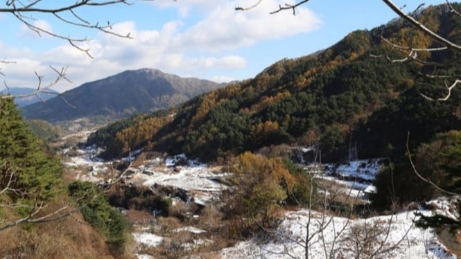 Jirisan, Sekilas tentang Taman Nasional Jirisan, Jirisan dalam Drama Korea Jirisan, Daya Tarik Wisata Taman Nasional Jirisan, Tips Perjalanan ke Taman Nasional Jirisan, Pengaruh Drama Jirisan terhadap Pariwisata