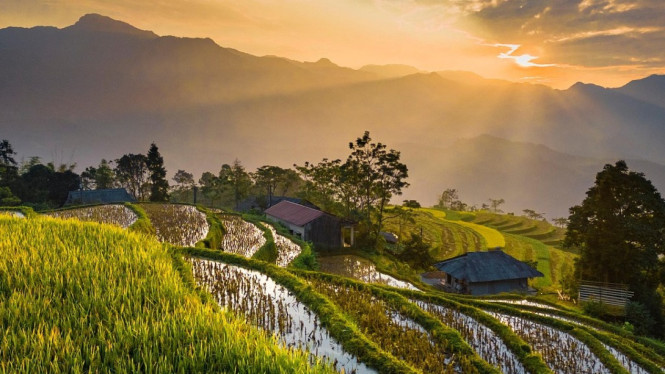 Ilustrasi pemandangan alam, Keterasingan dalam Kehidupan Modern, Kebebasan di Alam Liar, Destinasi Ideal untuk Menemukan Kebebasan, Eco-Tourism: Menjelajah dengan Bertanggung Jawab