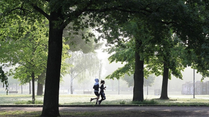 ilustrasi jogging, Mengapa Jogging di Tempat Terbuka Gratis?, Rekomendasi 10 Tempat Terbuka Gratis untuk Jogging, Tips Jogging di Tempat Terbuka Jakarta, Keunggulan Taman sebagai Tempat Jogging