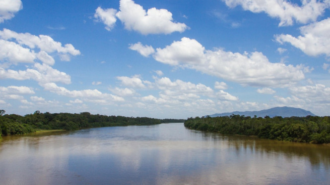Ilustrasi sungai, Sungai Kapuas: Permata Kalimantan Barat, Keindahan Visual Sungai Kapuas, Sungai Amazon: Keajaiban Hutan Hujan Dunia, Ilustrasi sungai Amazon, Pesona Visual Sungai Amazon, Pengalaman Wisata di Sungai Kapuas vs Sungai Amazon, Perbandingan Aksesibilitas dan Persiapan