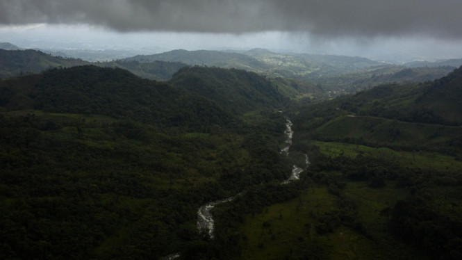 Hutan Amazon Brasil, Tragedi Pendaki Brasil di Gunung Rinjani, Reaksi Netizen Indonesia: Serangan Balik ke Sungai Amazon, Gunung Rinjani: Destinasi Petualangan yang Menantang, Sungai Amazon: Keindahan dan Risiko Alam, Ilustrasi sungai Amazon, Dampak pada Pariwisata dan Reputasi Destinasi, Wisata Aman di Gunung Rinjani dan Sungai Amazon, Gunung Rinjani, Budaya dan Interaksi di Kedua Destinasi