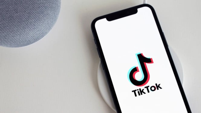 Ilustrasi gambar TikTok, Temukan Passion dan Niche yang Sesuai, Konsistensi adalah Kunci, TikToker Angelina, Optimalkan Konten dengan Strategi SEO, Bangun Interaksi dengan Audiens, Manfaatkan Kolaborasi dan Event, Diversifikasi Pendapatan dan Bangun Bisnis, Terus Belajar dan Beradaptasi dengan Tren, Pantang Menyerah dan Tetap Autentik