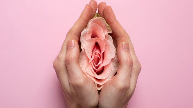 Ilustrasi area organ intim, Gejala Utama BV, Penyebab Umum Ketidakseimbangan Flora, Mengapa Bau Ikan Asin Harus Diwaspadai?, Cara Mendiagnosis dan Pengobatan, Cara Mencegah BV dan Bau Tidak Sedap, Kapan Harus Segera Periksa Dokter?