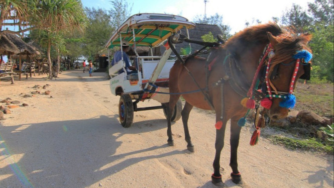 Cidomo di Gili Trawangan, Larangan Penggunaan Kendaraan Bermotor, Transportasi di Gili Trawangan, Pengalaman Unik Saat Liburan, Cara ke Gili Trawangan
