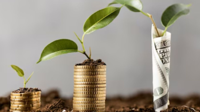 Ilustrasi Investasi, 1. Mulai dari Investasi Sesuai Kemampuan, 2. Siapkan Dana Darurat Sebelum Berinvestasi, 3. Pilih Instrumen yang Fleksibel dan Likuid, 4. Lengkapi dengan Perlindungan Asuransi