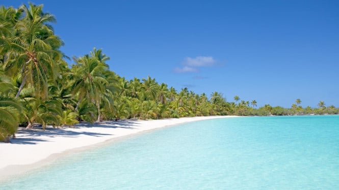 Ilustrasi pantai, Pantai Mutun: Keindahan Pasir Putih dan Air Jernih, Pantai Gigi Hiu: Pesona Batu Karang Unik, Pantai Sari Ringgung: Wisata Bahari dengan Masjid Apung, Pantai Teluk Kiluan: Surga Lumba-Lumba dan Snorkeling, Pantai Tanjung Setia: Surga Peselancar, Pantai Kyoko: Destinasi Baru yang Menawan