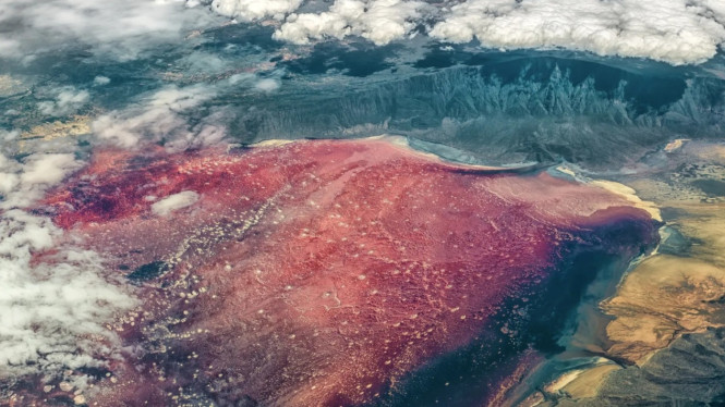 Danau Natron