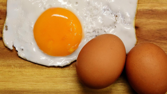 Ilustrasi telur, Perbedaan Proses Produksi dan Pakan Ayam, Kandungan Nutrisi: Telur Ayam Negeri vs Telur Omega-3, Manfaat Kesehatan untuk Anak, Karakteristik Fisik dan Kualitas Telur, Tips Memilih dan Mengolah Telur untuk Anak, Pertimbangan Harga dan Ketersediaan