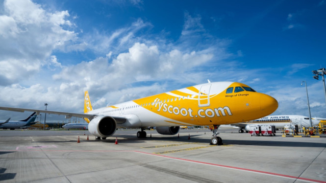 Scoot, Periode Perjalanan yang Fleksibel, Daftar Rute dan Harga Promo, Kenyamanan Ekstra dengan ScootPlus, Mengapa Memilih Scoot?
