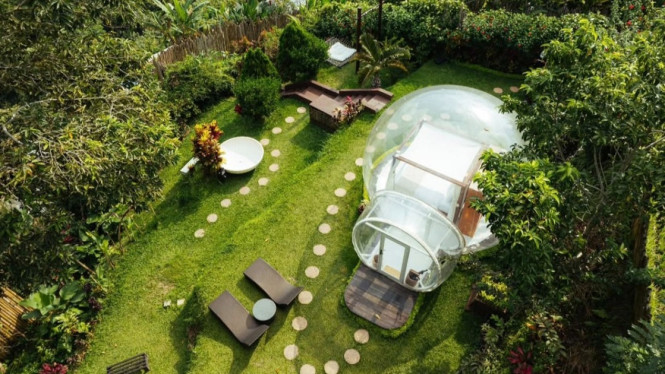Bubble Hotel Bali, Konsep Unik Bubble Hotel Bali, Pilihan Lokasi: Ubud dan Nyang Nyang, Bubble Hotel Bali, Pengalaman Kuliner dan Romansa, Bubble Hotel Bali, Informasi Reservasi, Mengapa Memilih Bubble Hotel Bali?