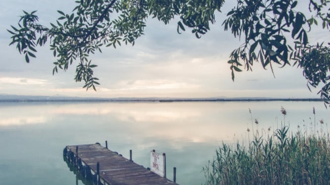 Ilustrasi danau, Danau Biru Pengaron: Permata Tersembunyi Bekas Tambang, Bukit Rimpi: Savana Hijau Ala Bukit Teletubbies, Pulau Kembang: Petualangan di Habitat Kera Liar, Hutan Pinus Mentaos: Oase Hijau untuk Healing, Air Terjun Bajuin: Keindahan di Pegunungan Meratus, Tips Mengunjungi Wisata Alam Tersembunyi di Banjarmasin