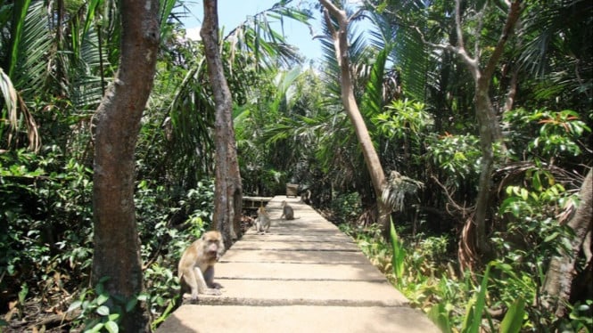 Pulau Kembang Banjarmasin, 1. Pulau Kembang: Legenda Monyet Berbuntut Pendek yang Penuh Mistik, 2. Tahura Sultan Adam: Oase Hutan Tropis di Tengah Kalsel, 3. Kampung Sasirangan: Menggali Pesona Batik Khas Kalimantan Selatan, 4. Danau Seran: Pesona Danau Biru yang Menyegarkan Mata, 5. Jembatan Barito: Keajaiban Arsitektur di Atas Sungai Barito