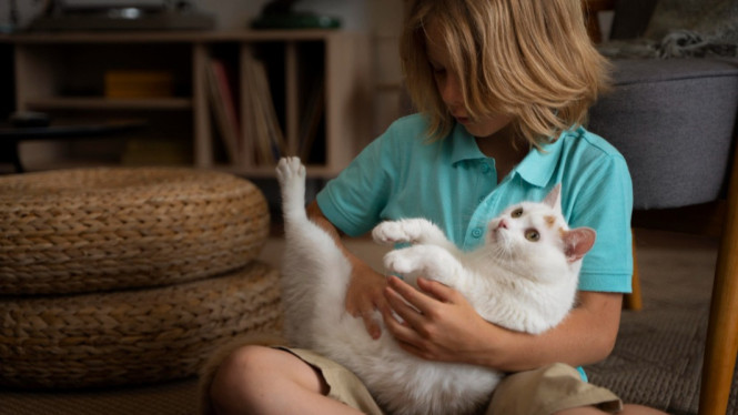 Ilustrasi anak dan kucing, 1. Boleh: Memberi Makan dengan Pengawasan, 2. Tidak Boleh: Menarik Ekor atau Kumis Kucing, 3. Boleh: Mengelus dengan Lembut, 4. Tidak Boleh: Menggendong dengan Cara Salah, 5. Boleh: Bermain dengan Mainan Khusus, 6. Tidak Boleh: Mengganggu Saat Kucing Makan atau Tidur, 7. Boleh: Membantu Membersihkan Peralatan Kucing, 8. Tidak Boleh: Memaksa Kucing untuk Bermain