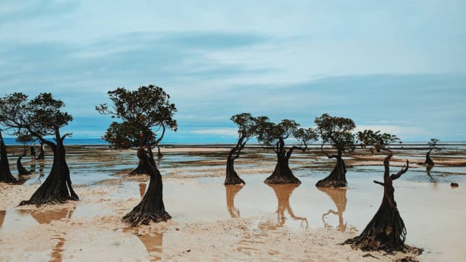 Ilustrasi Sumba Timur