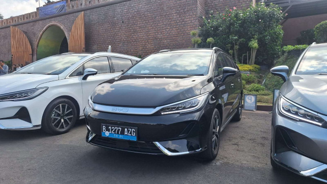 BYD M6