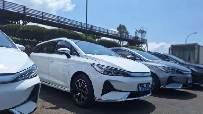 BYD M6