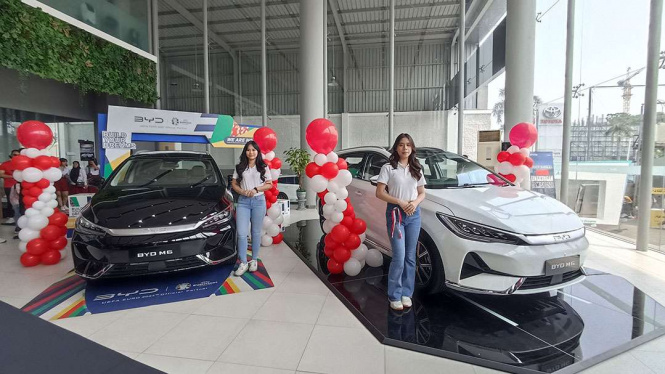 BYD Haka Auto