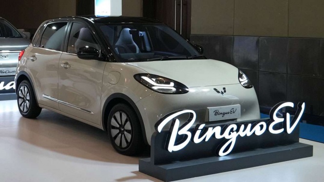 Wuling BinguoEV