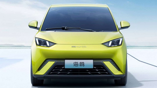 BYD Seagull