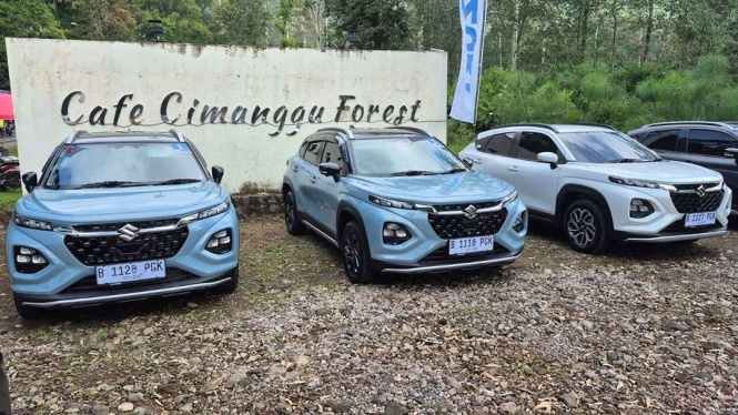 Suzuki Fronx