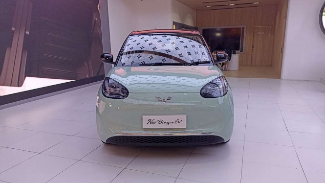 Wuling BinguoEV Wuling BinguoEV