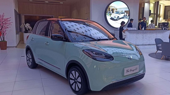 Wuling BinguoEV Wuling BinguoEV