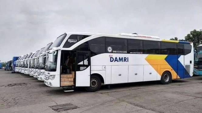 Bus Damri Bus Damri