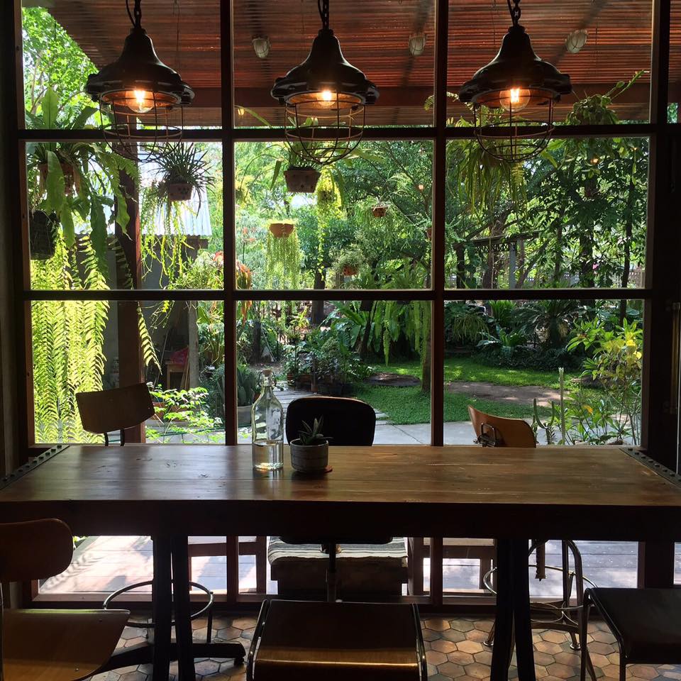 White House Forest, เกษม : KASEM Coffee, Rosie.nak, Luk Labb Coffee, Grande KAFE, KFD in Town, สวรรค์บ้านนา คาเฟ่ Food &amp; Drink, กอหญ้า คาเฟ่, ณ บุ่ง Coffee, polar polar CAFE', Yellow Pumpkin, ร้าน Yellow Pumpkin เปิดบริการตามปกติ 11.00-17.00 น. (ปิดวันพฤหัสบดี), I'm home cafe, ประจำอำเภอ, glinfon, 382 Space Café, La-Moon cafe'