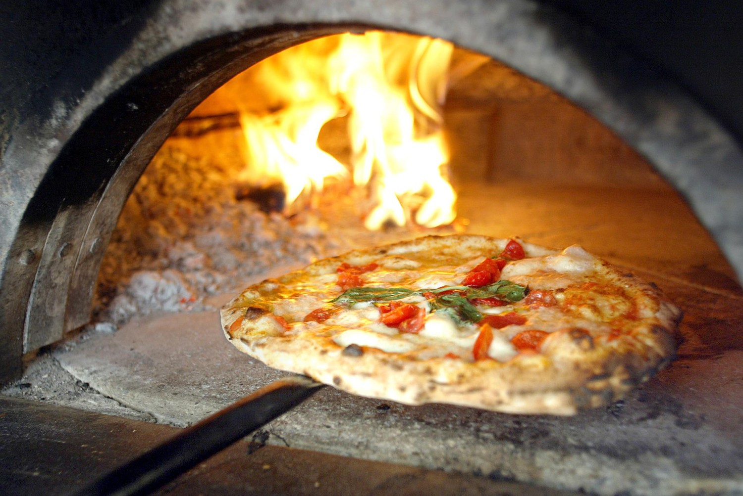 Pizzeria Limoncello, เชฟถนอม, กลมกล่อม BY CHEF AKE, Ciao Pizza, Pizza Aroy, Pizza Massilia, Grazie Pizzeria, The Garden Dough, Lanta Pizzeria, Mama Dolores, PizzaPazza, Dressage Horse Café, Pizzazo, Shelter Pizza พิซซ่าเตาถ่าน