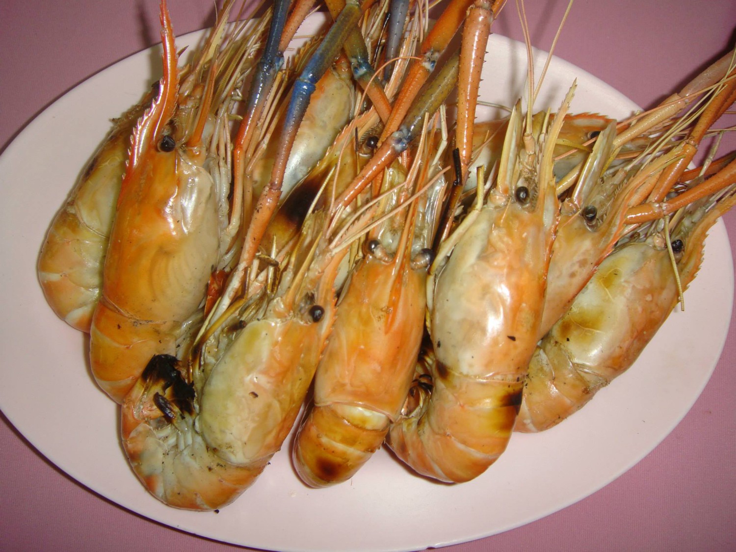 oystermania, The Dock, Lobster & Oyster, เล็ก & รัตน์ซีฟู้ด, Oyster Bay Bangkok