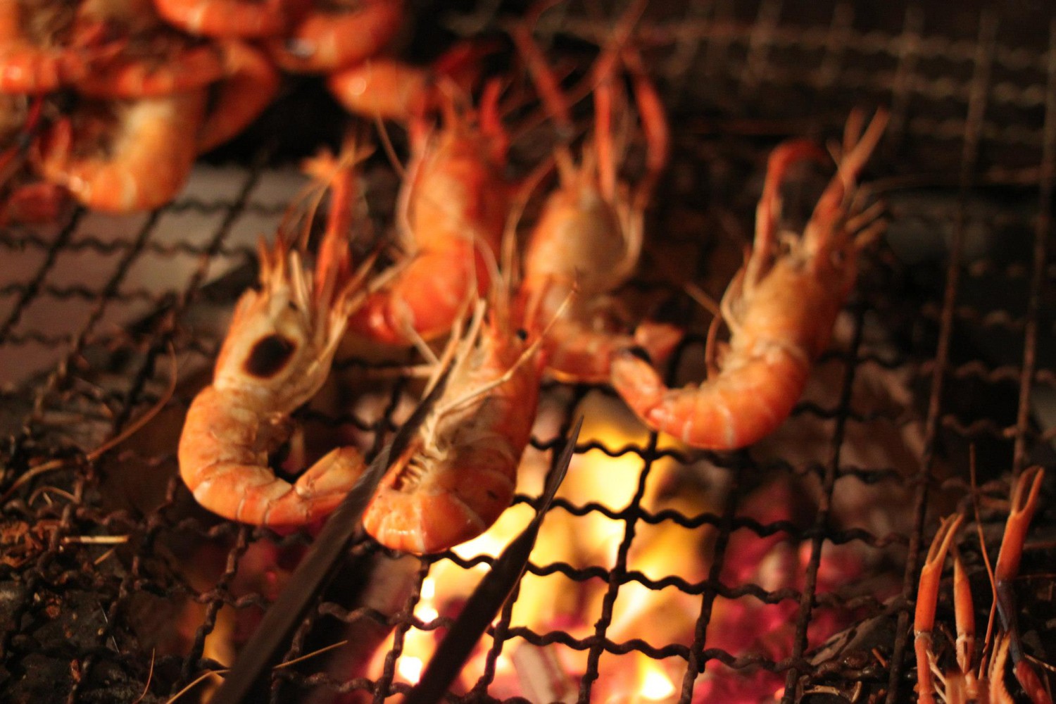 oystermania, The Dock, Lobster & Oyster, เล็ก & รัตน์ซีฟู้ด, Oyster Bay Bangkok