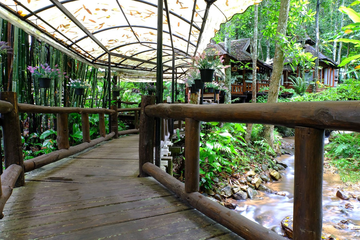บ้านอิงดาว แม่กำปอง, Ma Du Doi Coffee แม่กำปอง, Teddu Coffee - Baansuphanbhum, ชมนกชมไม้, บ้านพักลุงปุ๊ด &amp; ป้าเป็ง แม่กำปอง, Pirunya Coffee, ร้านกาแฟฮ่อมดอย &amp; อาร์ตแกลเลอรี่ แห่งขุนเขา แม่กำปอง, บ้านหลงเขา แม่กำปอง &amp; ฮักเขา ฟาร์มสเตย์, ระเบียงวิวแม่กำปอง, ณ แม่กำปอง ร้านอาหารแม่กำปอง