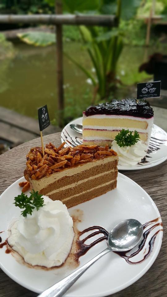 Autumn haus, YOJU Cafe, Lemon Me Farm, STARTCafé, Lot no.8 cafe, 23 cafe and bistro, STAY WITH TREE cafe, April Flavors cafe, Destiny cafe', บ้านปายนา, DUBUA CAFE, House of Chandra - เสน่ห์จันทน์ , 11 Elephant Dessert Cafe, Hangar Cafe', Merce Cafe & Restaurant, Ton Khao Terrace, O2 Kaffee & Bistro, Pomelo Cafe, Little tree, Chinu Coffee