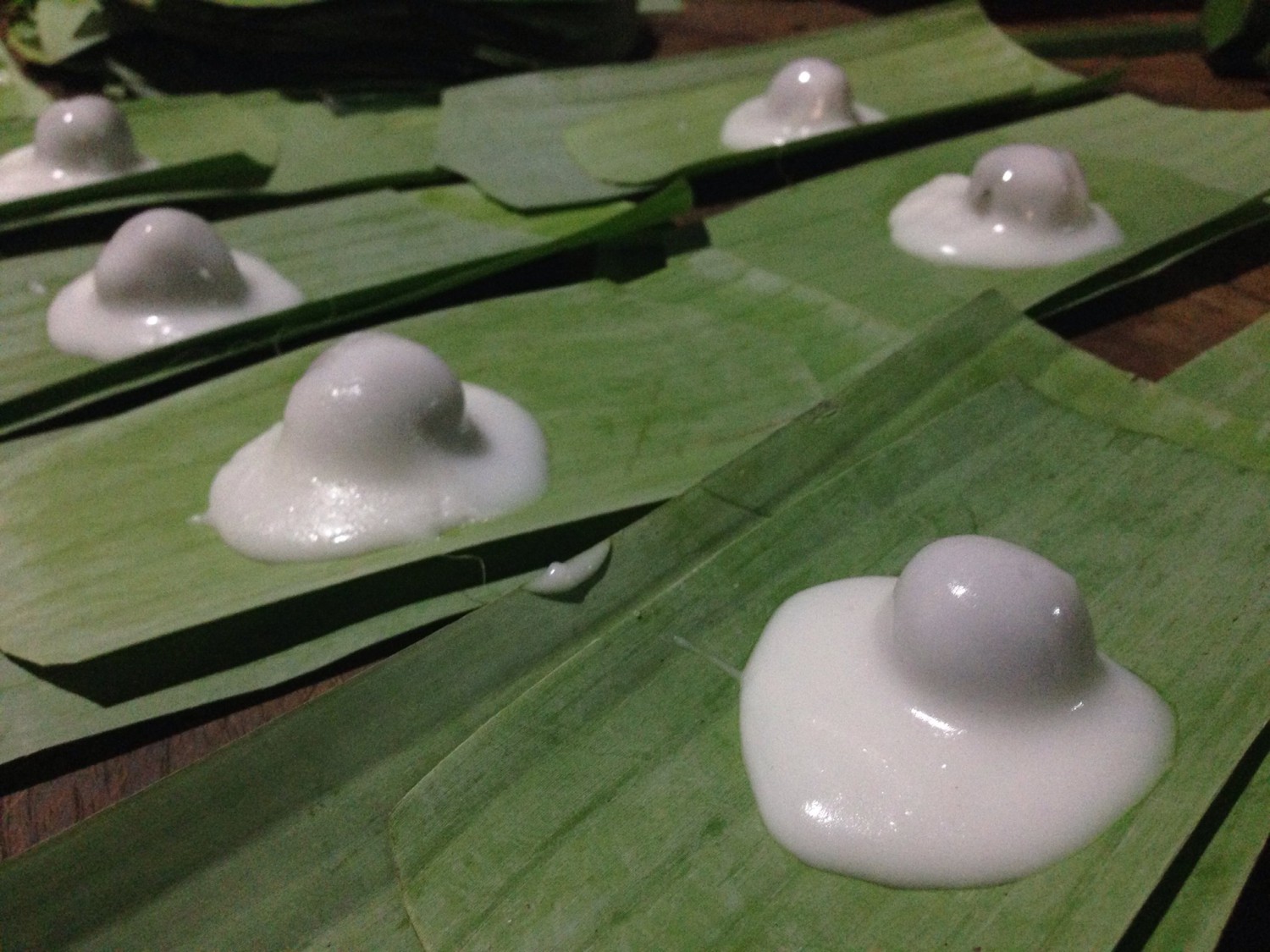 เป็ดพะโล้นายหนับ ตลาดน้ำดอนหวาย, ปังพอนด์_ดอนหวาย, ครัวบ้านเตี่ย ตลาดน้ำวัดดอนหวาย, แพสุวรรณรัตน์ ตลาดริมน้ำดอนหวาย, เป็ดพะโล้นายโอ, เพชรเบเกอรี่, ปลาต้มเค็มป้าต้อย (ตลาดดอนหวาย), ขนมชั้น แสงดาว, ตลาดริมน้ำวัดดอนหวาย จ.นครปฐม, ร้านขนมสอดไส้ผู้พัน - ตลาดน้ำดอนหวาย, ขนมหวานเจ๊โส่ย..ตลาดดอนหวาย, ศรียาภัย ไอศครีมกะทิสด, ขนมตาลป้าไข่, ขนมไทย เจิมทอง ตลาดดอนหวาย, ร้านขนมมุสลิมโบราณ786 ขนมฝักบัว, ขนมเบื้องญวน ขนมหม้อแกงถั่ว, ไข่เค็มป้ายม, นิด หมี่กรอบมันกุ้ง, ร้านกวยจั๊บนายตือ ดอนหวาย