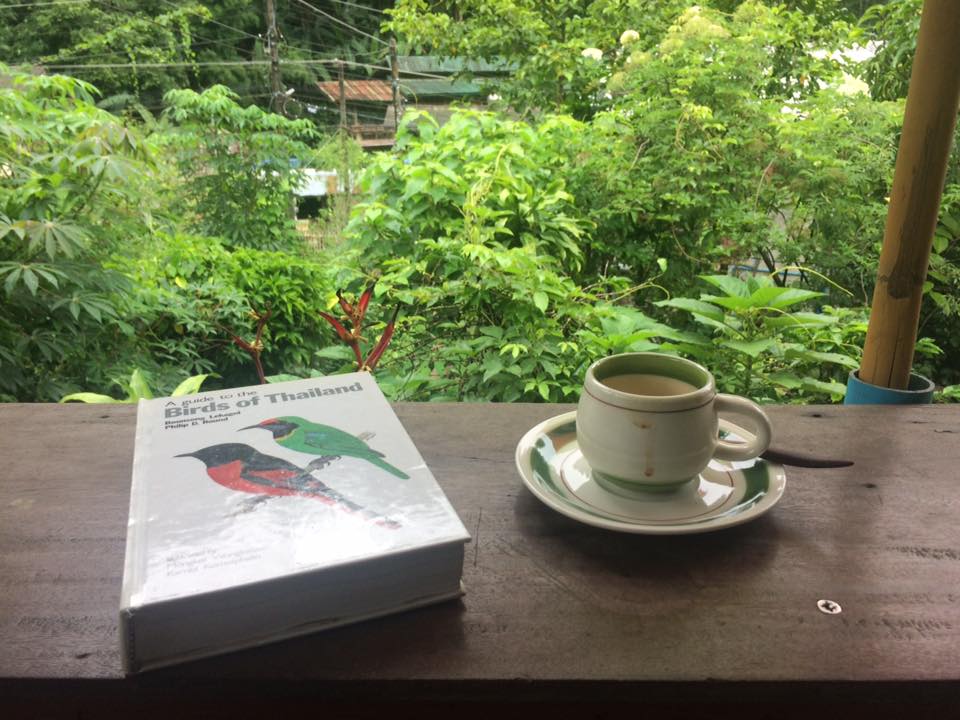 บ้านอิงดาว แม่กำปอง, Ma Du Doi Coffee แม่กำปอง, Teddu Coffee - Baansuphanbhum, ชมนกชมไม้, บ้านพักลุงปุ๊ด &amp; ป้าเป็ง แม่กำปอง, Pirunya Coffee, ร้านกาแฟฮ่อมดอย &amp; อาร์ตแกลเลอรี่ แห่งขุนเขา แม่กำปอง, บ้านหลงเขา แม่กำปอง &amp; ฮักเขา ฟาร์มสเตย์, ระเบียงวิวแม่กำปอง, ณ แม่กำปอง ร้านอาหารแม่กำปอง