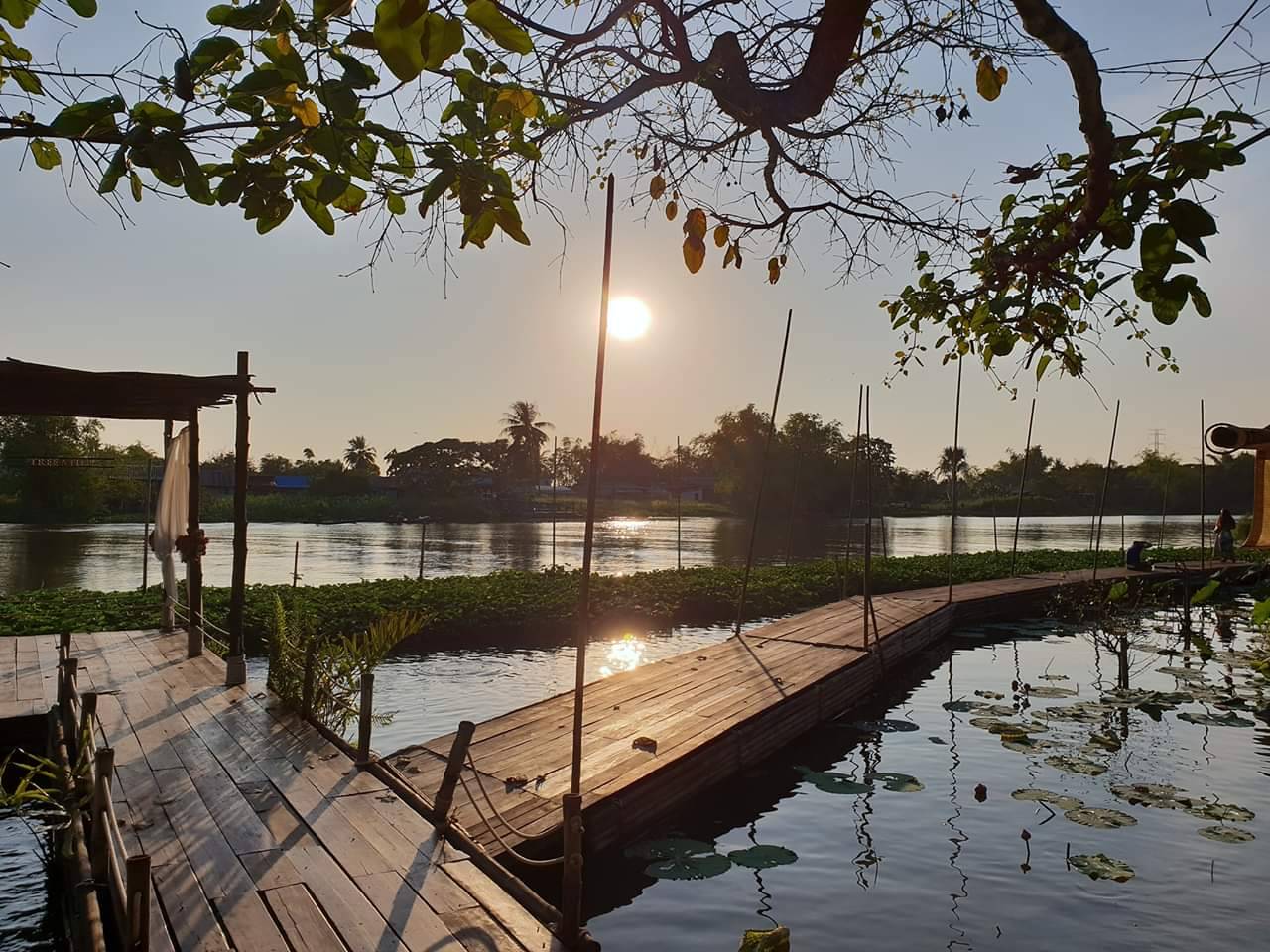 Autumn haus, YOJU Cafe, Lemon Me Farm, STARTCafé, Lot no.8 cafe, 23 cafe and bistro, STAY WITH TREE cafe, April Flavors cafe, Destiny cafe', บ้านปายนา, DUBUA CAFE, House of Chandra - เสน่ห์จันทน์ , 11 Elephant Dessert Cafe, Hangar Cafe', Merce Cafe & Restaurant, Ton Khao Terrace, O2 Kaffee & Bistro, Pomelo Cafe, Little tree, Chinu Coffee