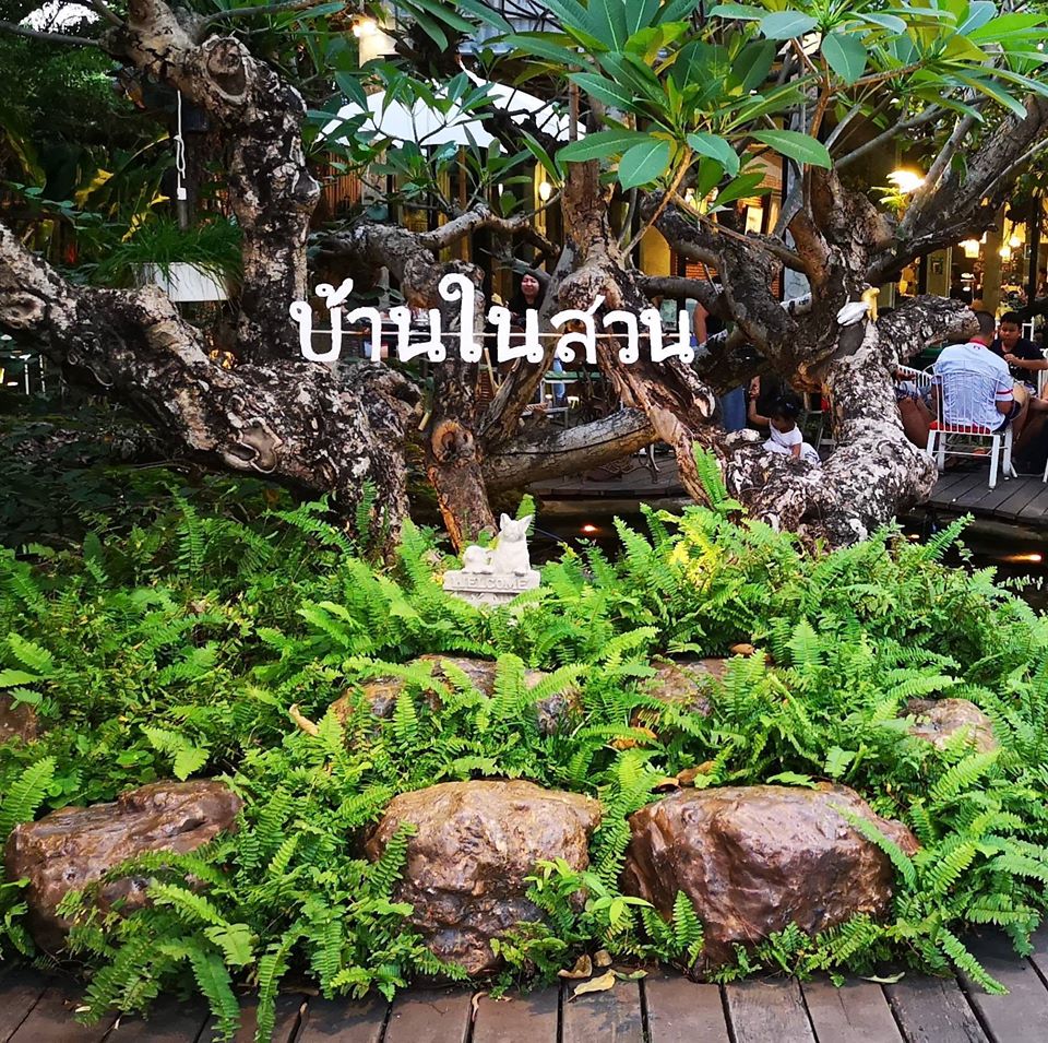 บ้านสวย ในสวน, Siam Brasserie , The Treehouse Nongchok, Natura Cafe, BaanNaiSuan Cafe&Yoga, Patom, Portobello & Désiré, ครัวบ้านสวนสุวรรณ, ร้านอาหารฐิตารีย์ สวนรถไฟ จตุจักร, บ้านสวน อบอวลรัก