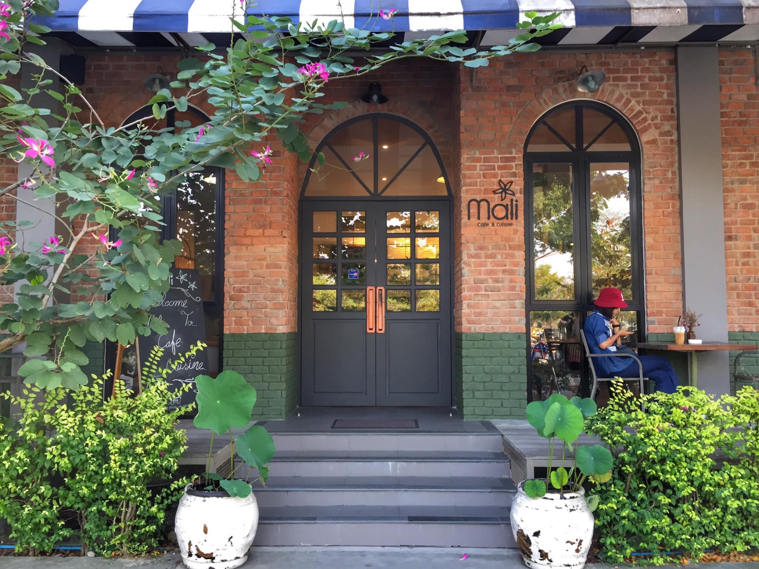 SOP Cafe, Three Mountain Café, ชื่นใจ๋, The Peace Coffee, โคโค่คอฟฟี่, Mali Cafe &amp; Cuisine, Tree Shade, Smallroom cafe passion, อาตี๋โกปี๊, Tara Coffee, In Cafe, Thanks, CORO FIELD, White Cacti
