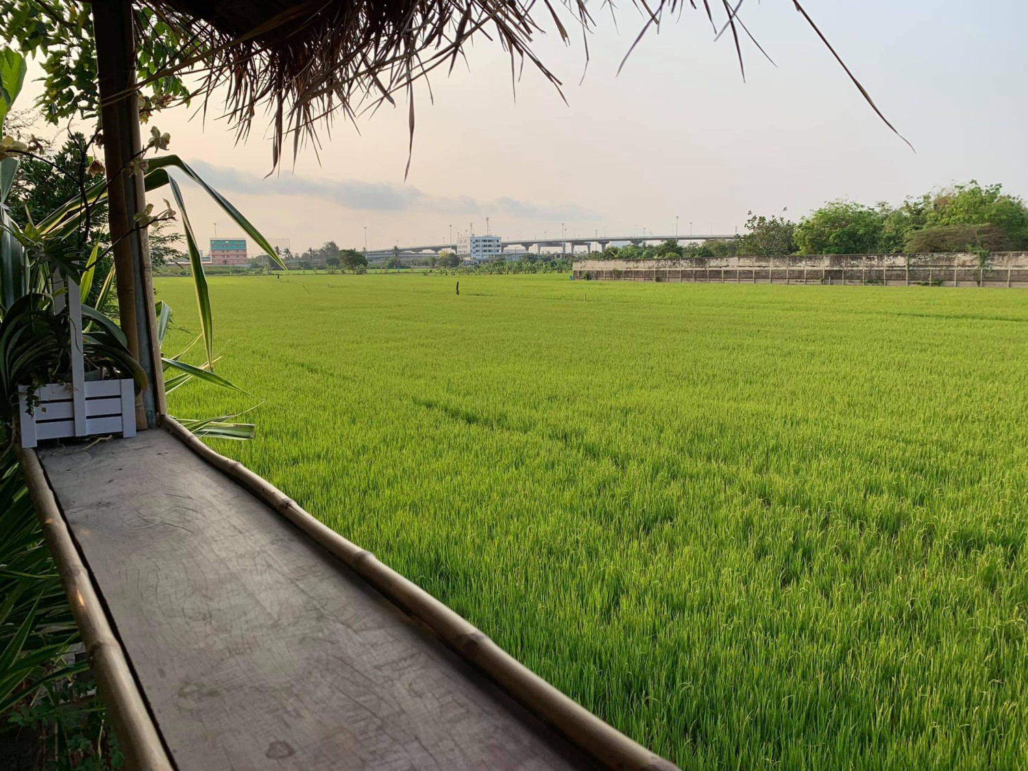 Hansacafe.food.garden, Green House Bistro, BECX, Plantnery Green Café, Langbaan cafe&amp;chill, ฉลู คาเฟ่, Mom’s Veggie Cafe, Another Home Cafe, Me Long Cafe, ร.เรือตัวอ้วน, Slot Co-Working Space, Mitte Coffee, Mita Coffee and Art, Bluebell Café, 10cc Coffee