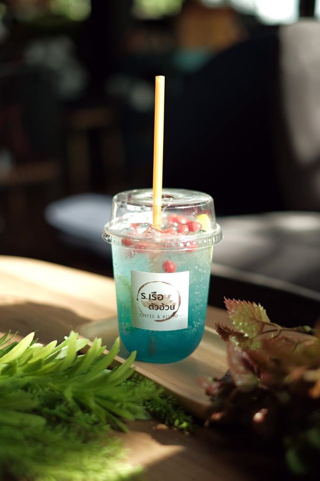Hansacafe.food.garden, Green House Bistro, BECX, Plantnery Green Café, Langbaan cafe&amp;chill, ฉลู คาเฟ่, Mom’s Veggie Cafe, Another Home Cafe, Me Long Cafe, ร.เรือตัวอ้วน, Slot Co-Working Space, Mitte Coffee, Mita Coffee and Art, Bluebell Café, 10cc Coffee