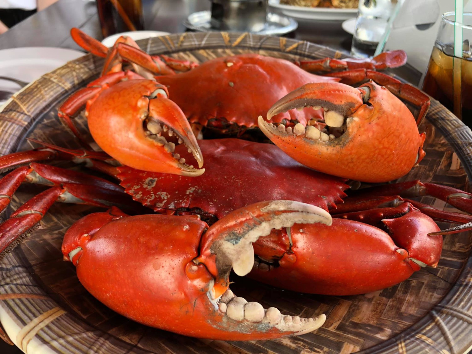ปูเป็น SEAFOOD PATTAYA, ริมหาด ซีฟู๊ด, ลุงบอยป้ารัตน์, สาขาหาดจอมเทียน, Krua Dongtan ครัวดงตาล, ลุงไสว 1 สุดหาดจอมเทียน พัทยา, ศรีนวลซีฟู้ด, Anantaya Resort &amp; Seafood Pattaya, สุดเขต ทะเลเผา
