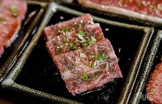 Wisdom International Buffet, BNPCuisine, Yakiniku Tan, Mo-Mo-Paradise, สาขา The Emporium, GuruGyuu, MATSU SUSHI, สาขาขอนแก่น