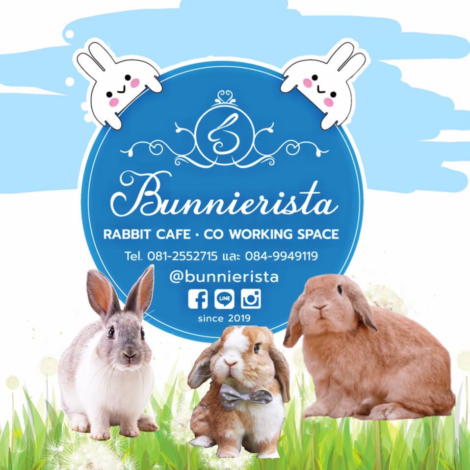 Flinders Street Cafe, Simplycafebkk, Neighbor cats koff bar, Bunnierista, Blend cafe, Hatchery, SEVENDAYS cafe &amp; bakehouse, Smith &amp; Rabbit Cuisine