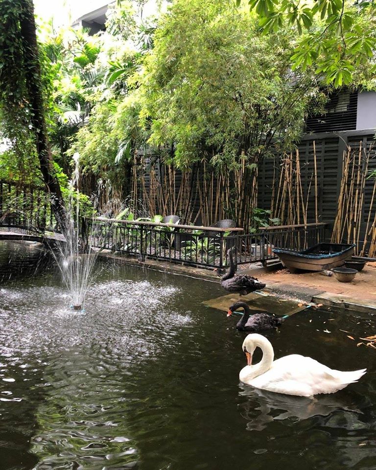 บ้านสวย ในสวน, Siam Brasserie , The Treehouse Nongchok, Natura Cafe, BaanNaiSuan Cafe&Yoga, Patom, Portobello & Désiré, ครัวบ้านสวนสุวรรณ, ร้านอาหารฐิตารีย์ สวนรถไฟ จตุจักร, บ้านสวน อบอวลรัก