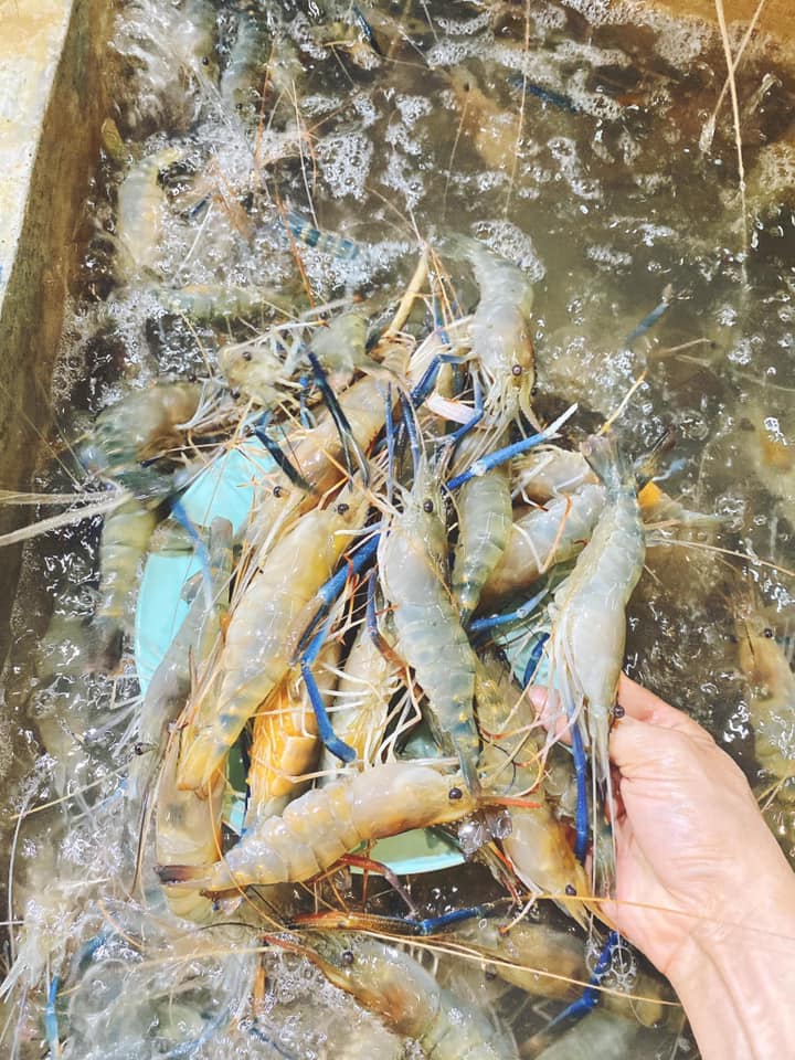 จอมเทียนทะเลเผา, Seafood Station Pattaya, อาตี๋ บุฟเฟ่ต์ ซีฟู้ด, สุดเขต ทะเลเผา, อูมามิ ชิลๆ บุฟเฟ่ต์