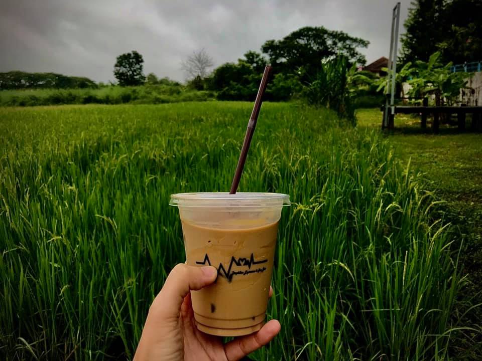 Mixirista Lampang, TIN’N, Wooden House Cafe', Karpenter cafe&amp;bake, Secret Garden Cafe, บ้านนอกคาเฟ่, Kin Cafe' Lampang, ณ หิรัญ คาเฟ่, Himwang Café, ไอหย๋า ปังนม, Dezato Cafe, อาร์มแชร์ คาเฟ่, โก๋กาแฟ ธรรมดาเป็นพิเศษ, Nalalin Home Cafe-Lampang, NOP Cafe&amp;Bistro, ก๋างต้ง, Moungngwezin